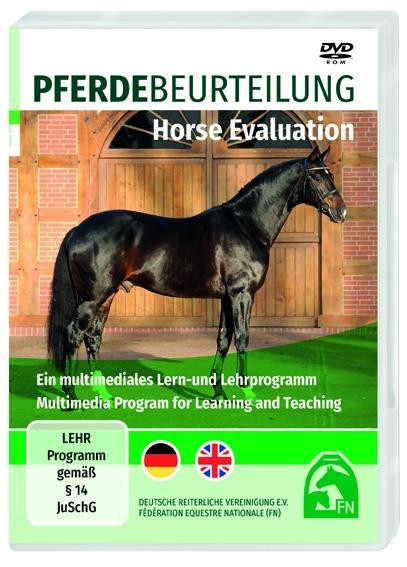 Pferdebeurteilung / Horse Evaluation