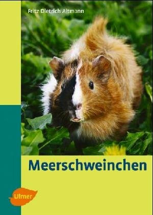Meerschweinchen (Heimtiere halten)