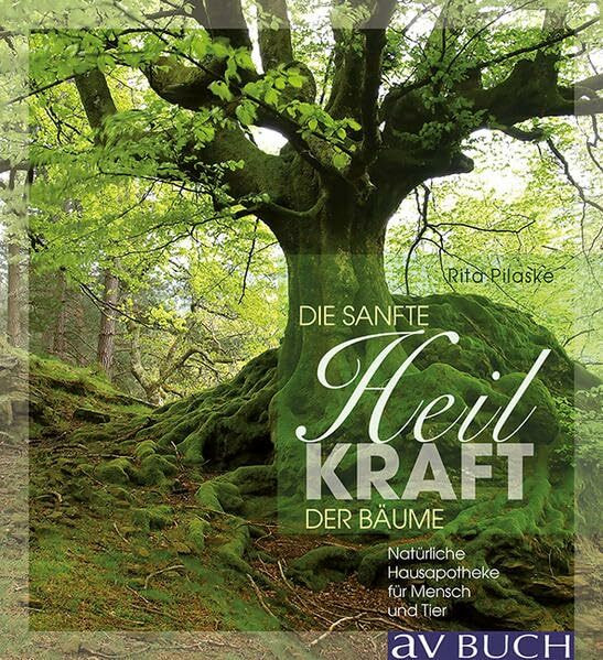 Sanft heilen mit der Kraft der Bäume: Natürliche Hausapotheke für Mensch und Tier (avBuch im Cadmos Verlag: im Cadmos Verlag)