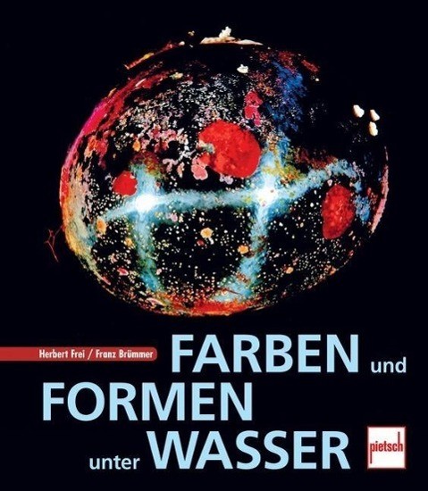 Farben und Formen unter Wasser