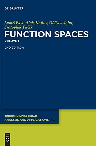 Function Spaces, 1: Banach Function Spaces (De Gruyter Series in Nonlinear Analysis and Applications, 14/1, Band 1)