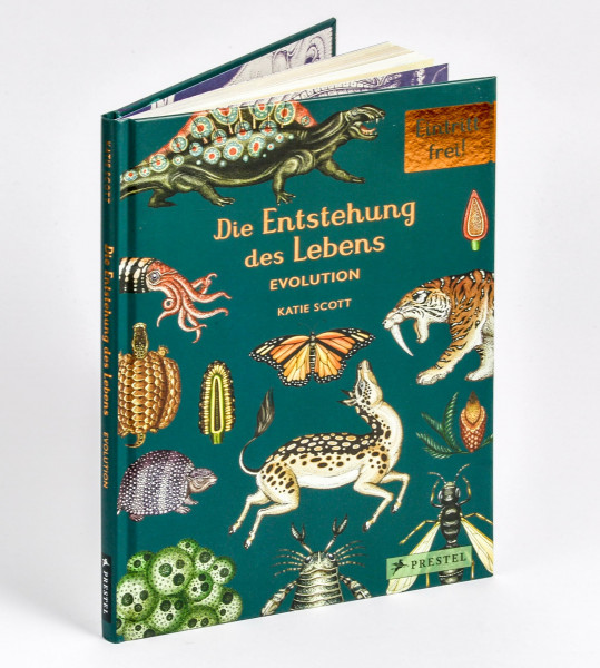 Die Entstehung des Lebens. Evolution: Eintritt frei! - Sachbilderbuch im Geschenkbuch-Format für Kinder ab 8 Jahren mit Illustrationen von Katie Scott (Eintritt frei! Komm mit ins Museum, Band 11)