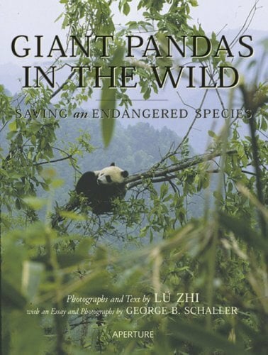 Giant Pandas in the Wild: Saving an Endangered Species Giant Pandas in the Wild: Saving an Endangered Species