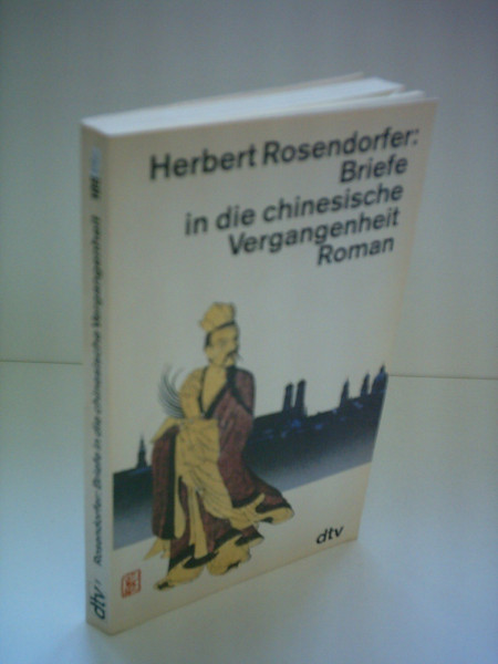 Briefe in die chinesische Vergangenheit: Roman (dtv großdruck)