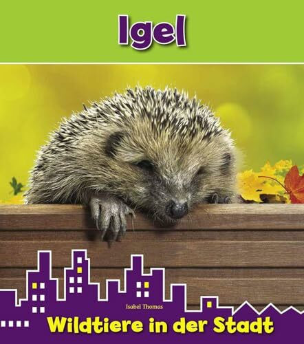 Igel: Wildtiere in der Stadt (CORONA Sachbücher)