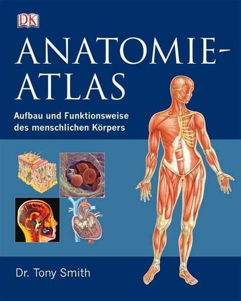 Anatomie-Atlas: Aufbau und Funktionsweise des menschlichen Körpers