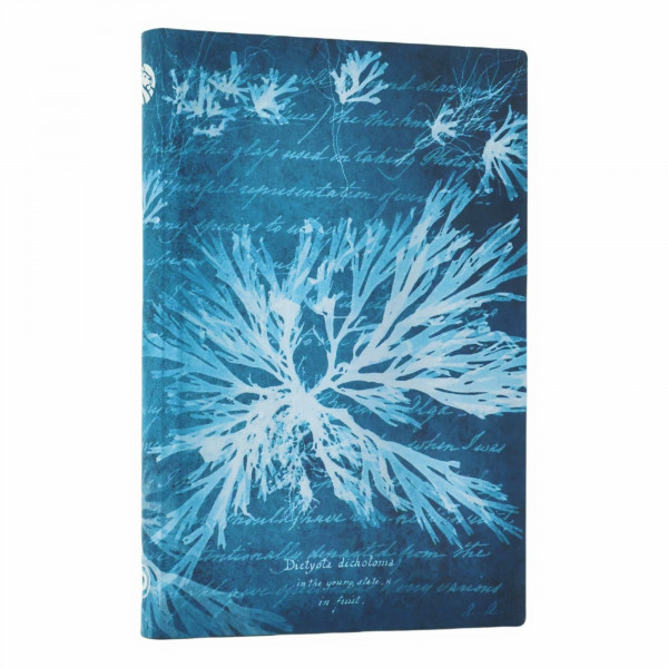 Sea Flowers (Anna Atkins’ Cyanotypes) Mini Lined Softcover Journal (Elastic Band Closure)