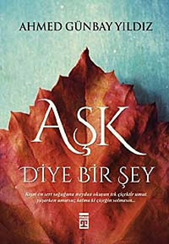 Ask Diye Bir Sey