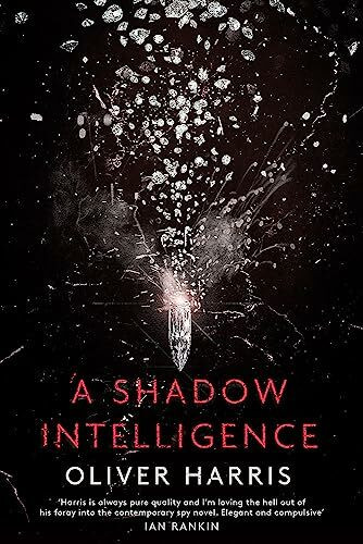 A Shadow Intelligence