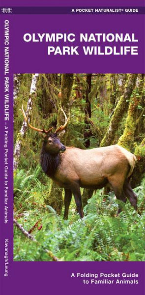 Olympic National Park Wildlife: A Folding Pocket Guide to Familiar Animals
