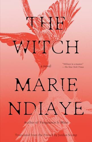 The Witch: A Novel