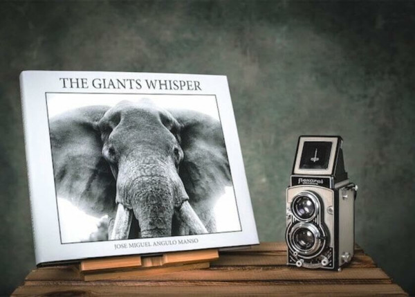 THE GIANTS WHISPER