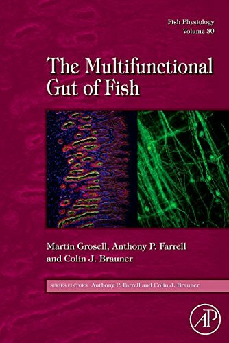 Fish Physiology: The Multifunctional Gut of Fish (Volume 30) (Fish Physiology, Volume 30, Band 30)