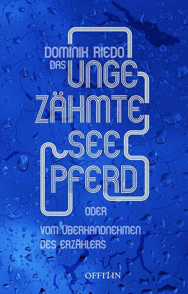 Das ungezähmte Seepferd: Oder vom Überhandnehmen des Erzählers