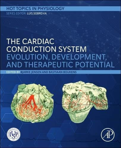 The Cardiac Conduction System: Evolution, Development, and Therapeutic Potential (Hot Topics in Physiology)