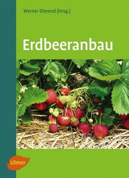 Erdbeeranbau