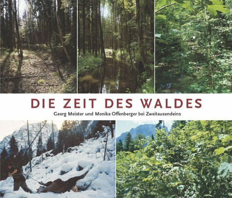 Die Zeit des Waldes. Bilderreise durch Geschichte und Zukunft unserer Wälder