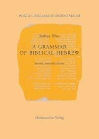 A Grammar of Biblical Hebrew
