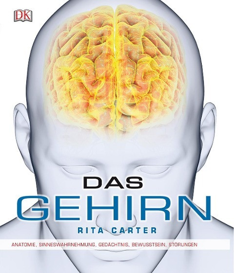 Das Gehirn