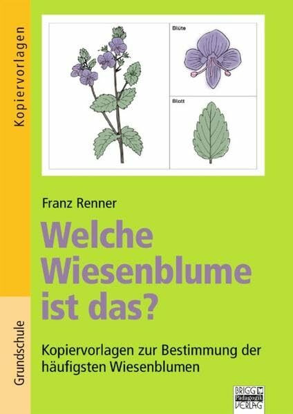 Brigg: Sachunterricht - Grundschule: Welche Wiesenblume ist das?: Kopiervorlagen zur Bestimmung der häufigsten Wiesenblumen. Kopiervorlagen