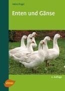 Enten und G�nse