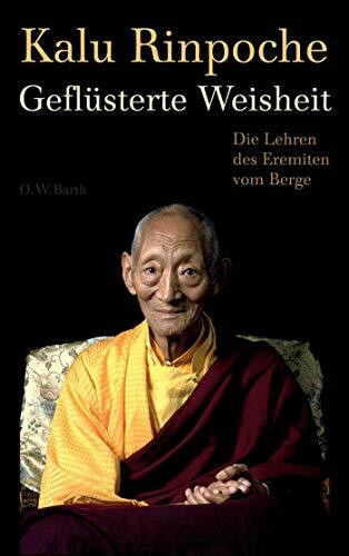 Geflüsterte Weisheit: Die Lehren des Eremiten vom Berge