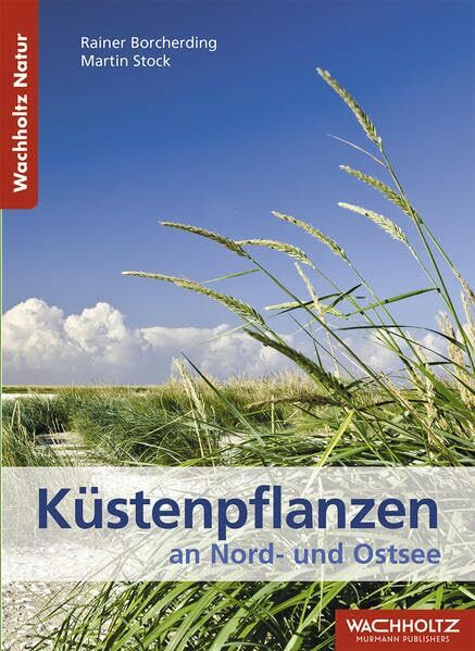 Küstenpflanzen an Nord- und Ostsee