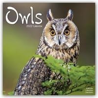 Owls - Eulen 2022 - 18-Monatskalender