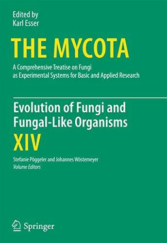 Evolution of Fungi and Fungal-Like Organisms (The Mycota, Band 14)