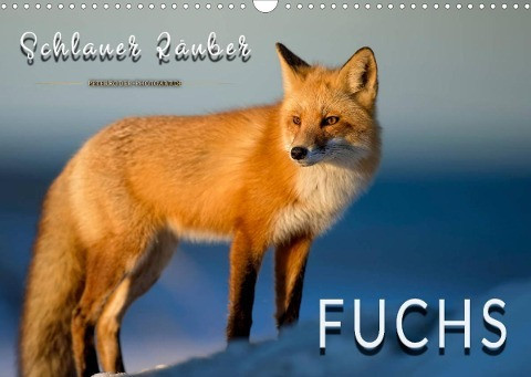 Fuchs - schlauer Räuber (Wandkalender 2022 DIN A3 quer)