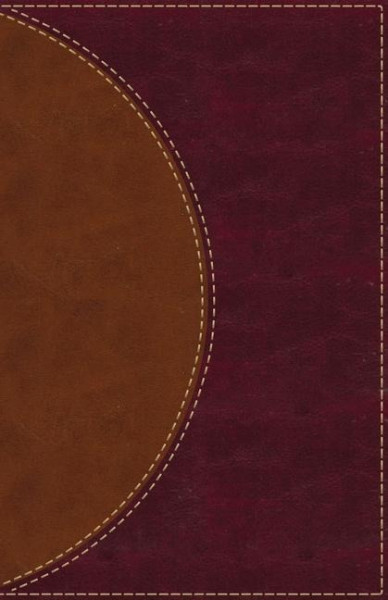 Amplified Reading Bible, Leathersoft, Brown, Thumb Indexed