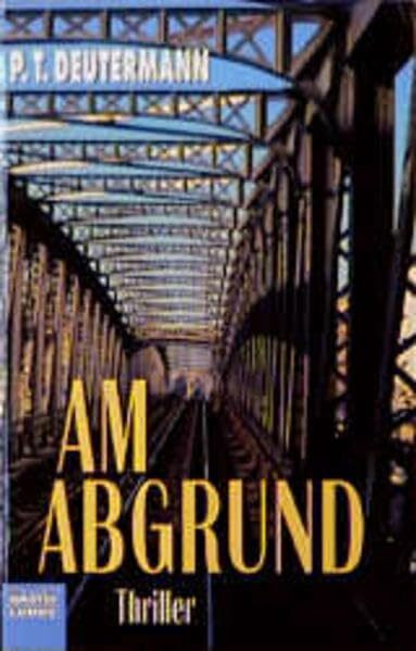 Am Abgrund: Thriller (Allgemeine Reihe. Bastei Lübbe Taschenbücher)