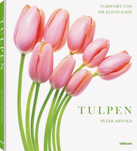 Tulpen