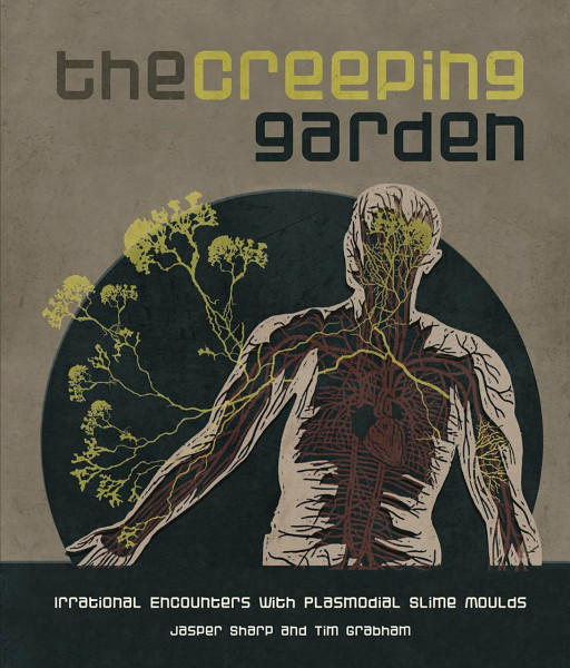 The Creeping Garden: Irrational Encounters with Plasmodial Slime Moulds