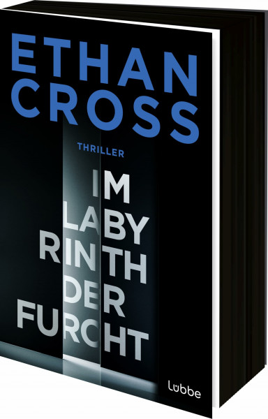 Im Labyrinth der Furcht: Thriller. Ein neuer Francis-Ackerman-jr-Thriller vom Bestseller-Autor (Ein Ackerman-Thriller. Die HÜTER-Reihe, Band 2)
