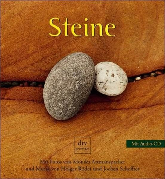Steine (dtv premium)