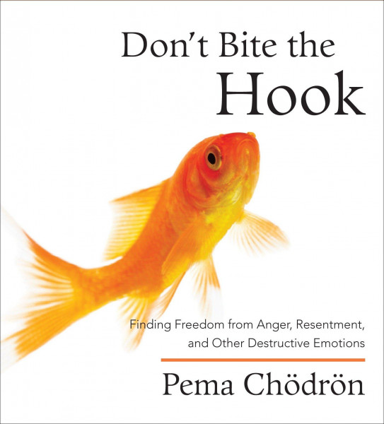 Don't Bite the Hook: Finding Freedom from Anger, Resentment, and Other Destructive Emotions