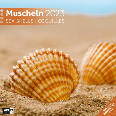 Muscheln Kalender 2023 - 30x30