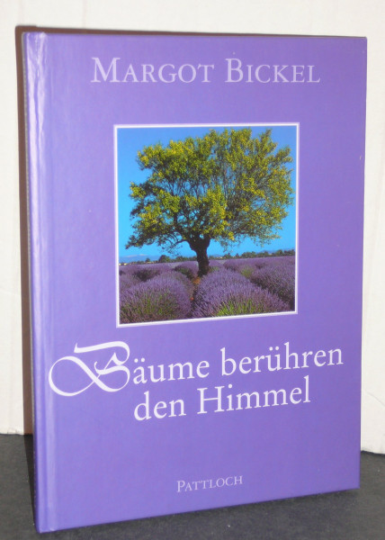 Bäume berühren den Himmel