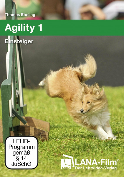 Agility 1