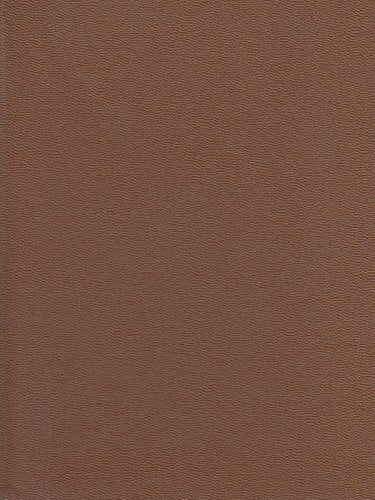 Moderne Bewässerungslandwirtschaft in Marokko: Staatliche und individuelle Entscheidungen in sozialgeographischer Sicht (Erlanger Geographische Arbeiten:... Moderne Bewässerungslandwirtschaft in Marokko: Staatliche und individuelle Entscheidungen in sozialgeographischer Sicht (Erlanger Geographische Arbeiten: Sonderbände)