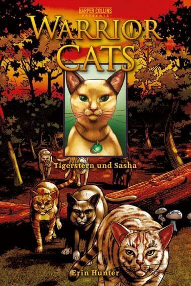 Warrior Cats (3in1) 02: Tigerstern und Sasha