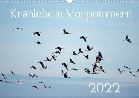 Kraniche in Vorpommern (Wandkalender 2022 DIN A3 quer)