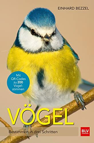Vögel: Bestimmen in drei Schritten (BLV Vögel)