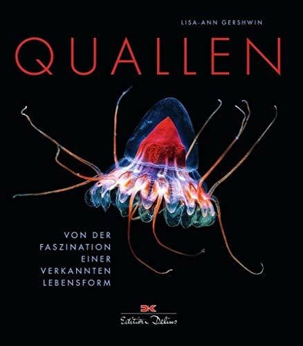 Quallen: Von der Faszination einer verkannten Lebensform