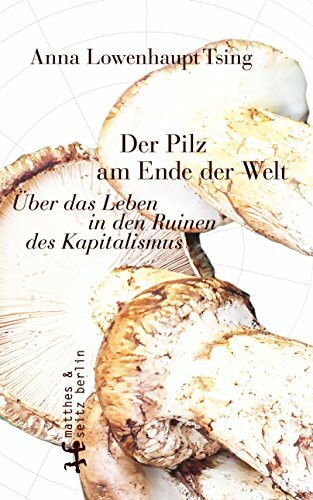 Der Pilz am Ende der Welt: Über das Leben in den Ruinen des Kapitalismus