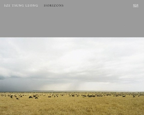 Sze Tsung Leong