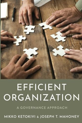 Efficient Organization: A Governance Approach