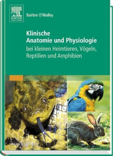 Klinische Anatomie und Physiologie bei kleinen Heimtieren, Vögeln, Reptilien und Amphibien