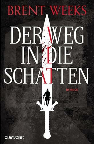 Der Weg in die Schatten: Roman (Schatten-Trilogie (Night Angel), Band 1)